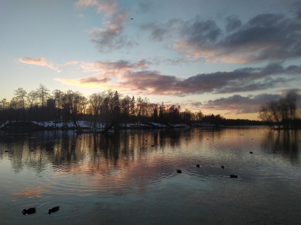 Photograph by Анастасия Солодкая