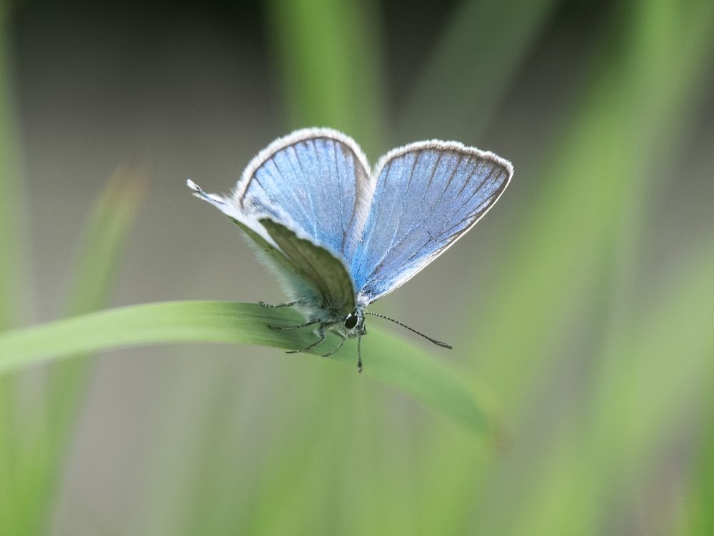 Photograph by 