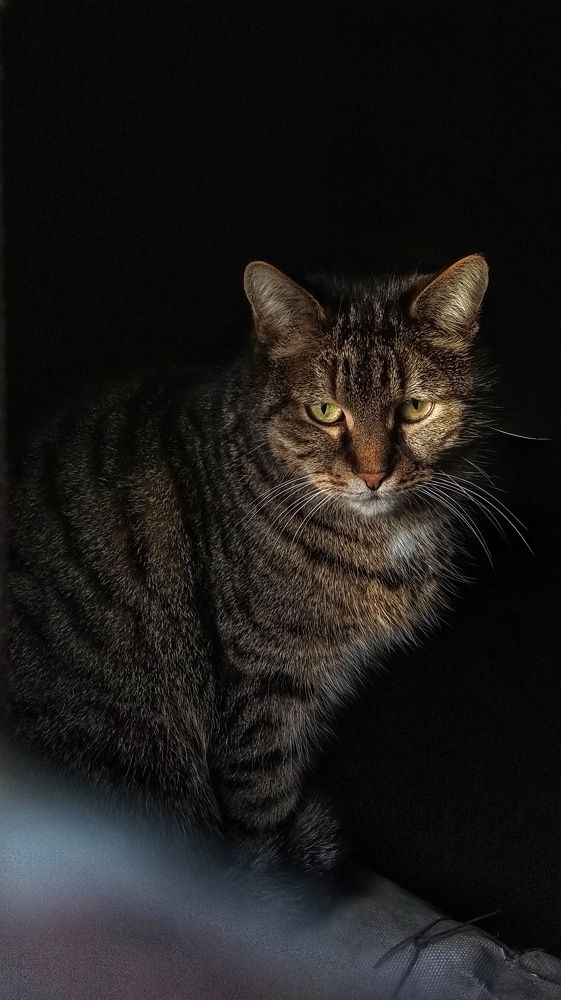 Photograph by Светлана Безъязычная