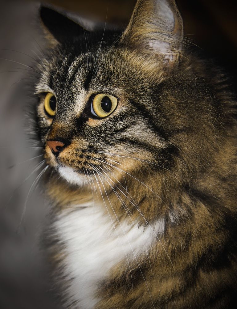 Photograph by Светлана Богомолова