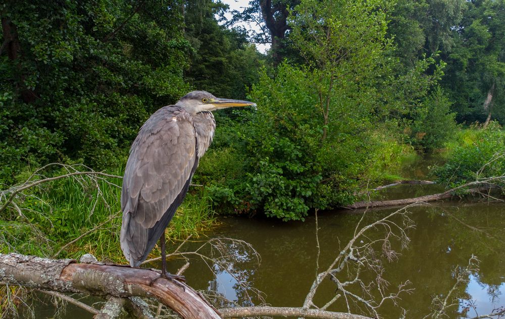 Photograph by Pavel Shestakov