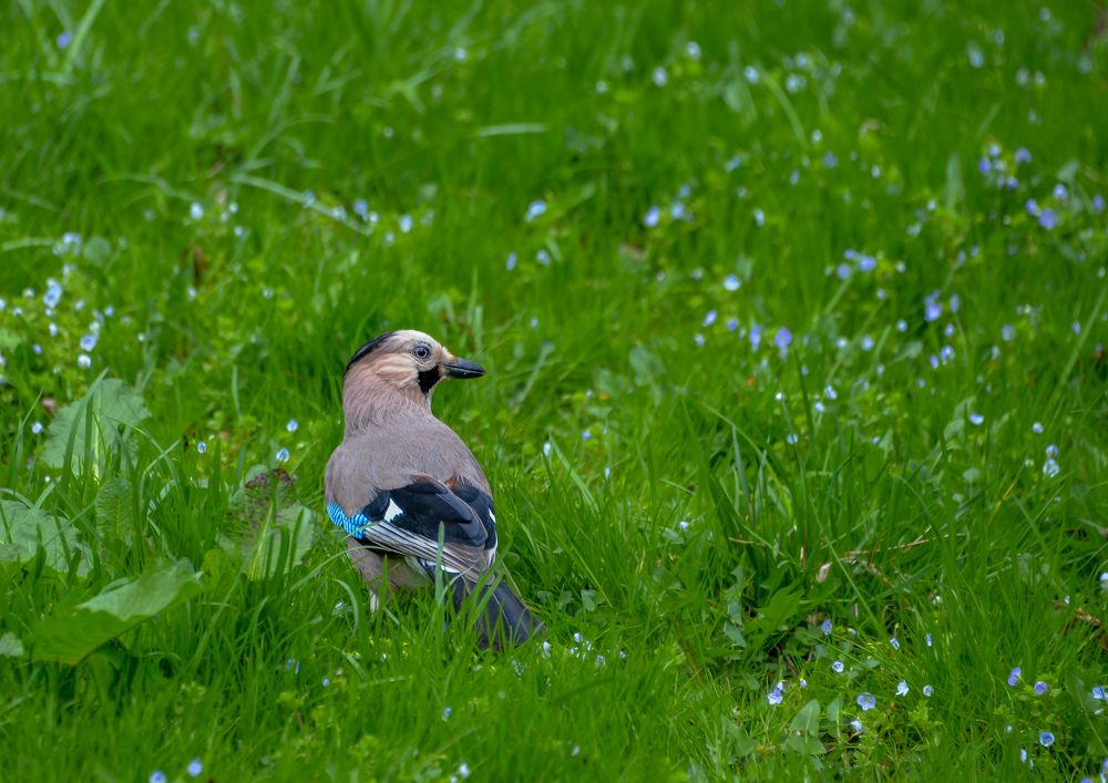 Photograph by Pavel Shestakov