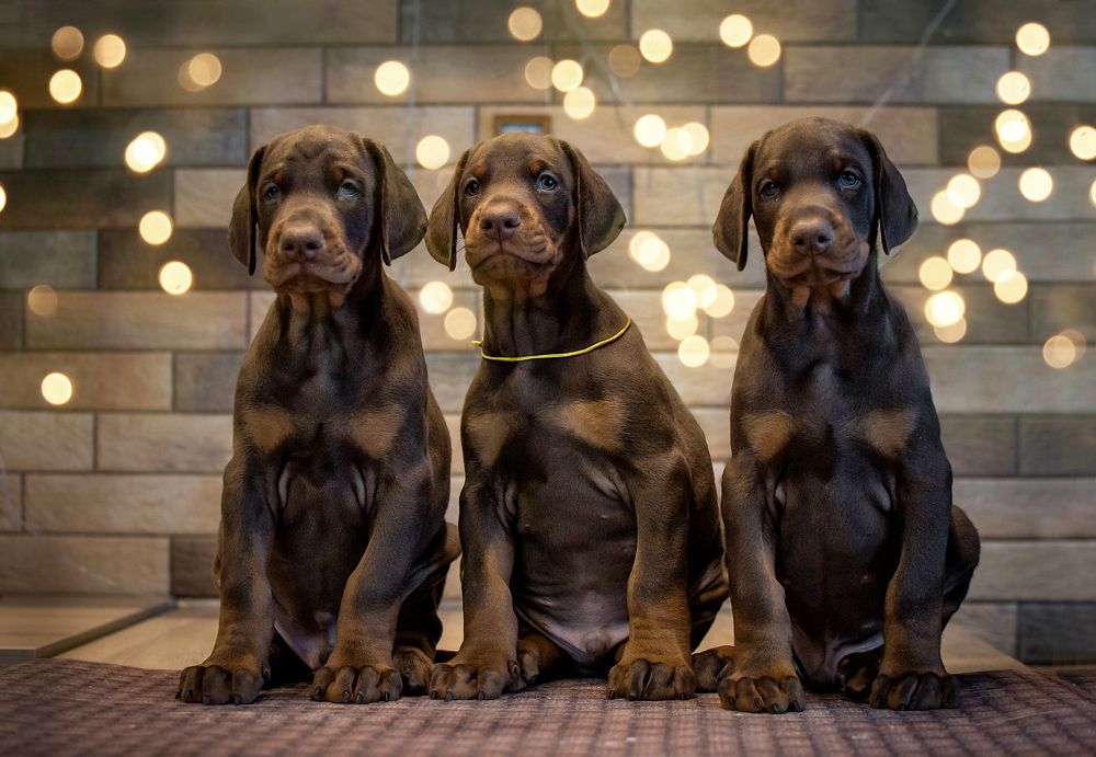 Photograph by Екатерина Лебедева