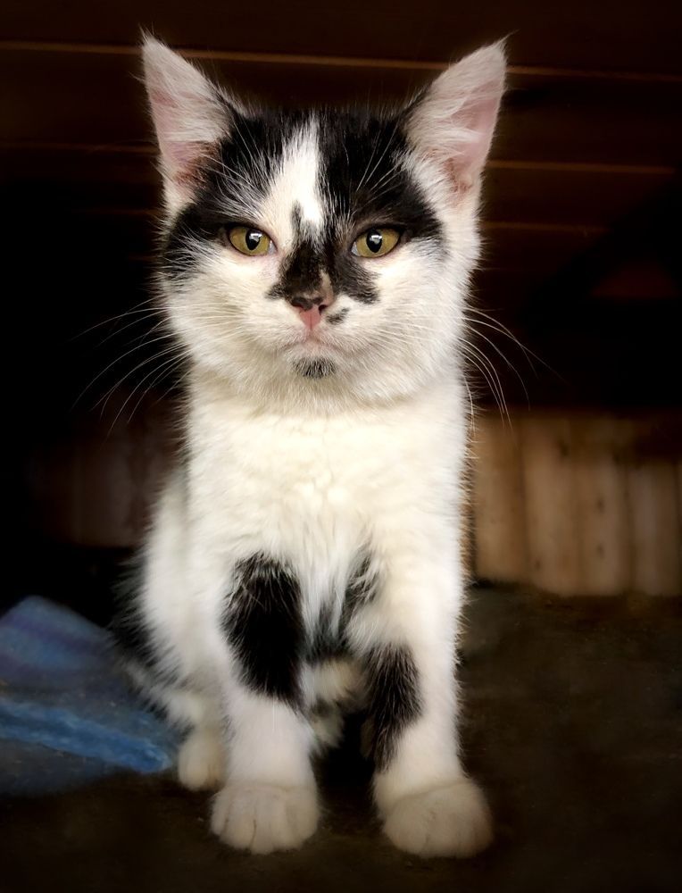 Photograph by Светлана Богомолова