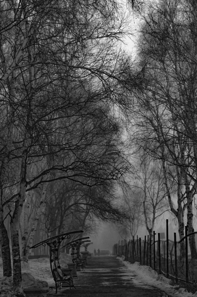 Photograph by Елена Ласун