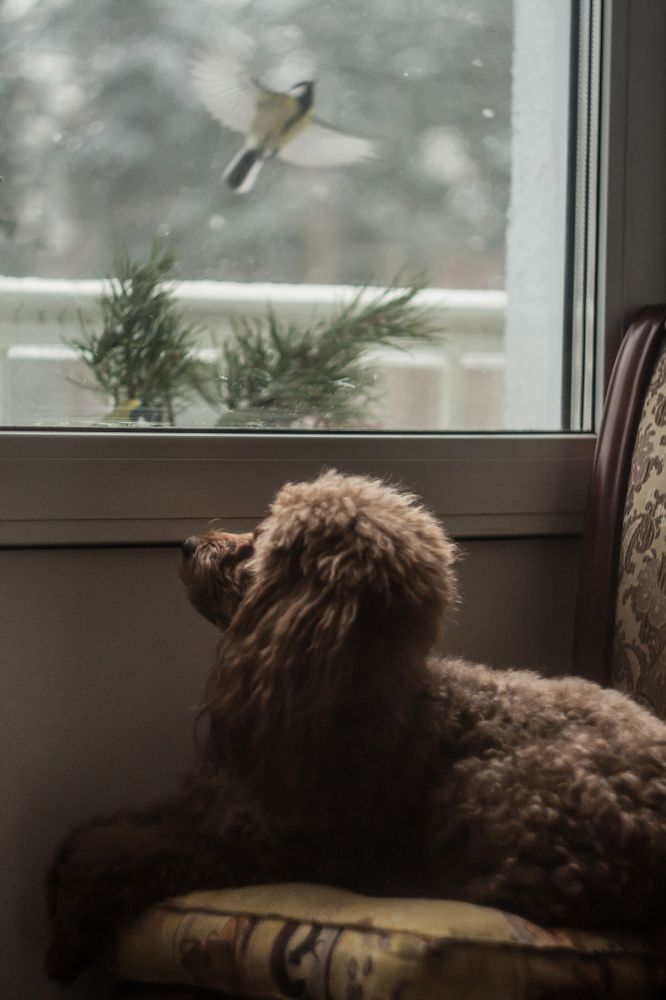 Photograph by Юлия Саморукова