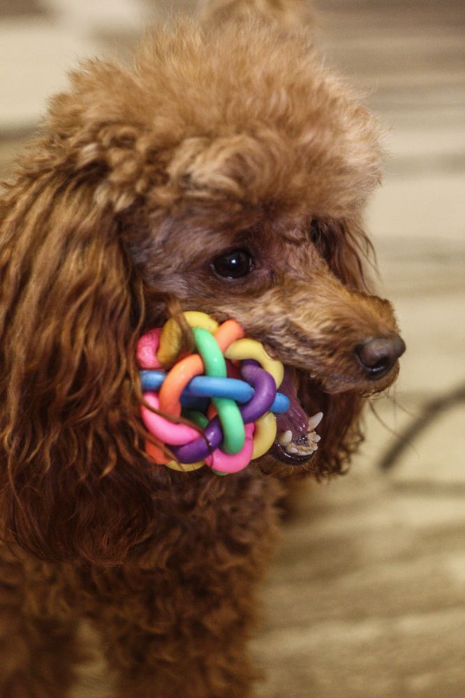 Photograph by Юлия Саморукова