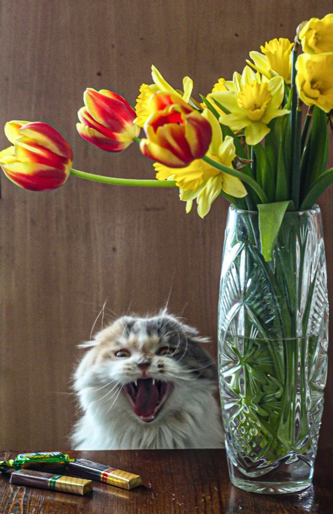 Photograph by Юлия Саморукова