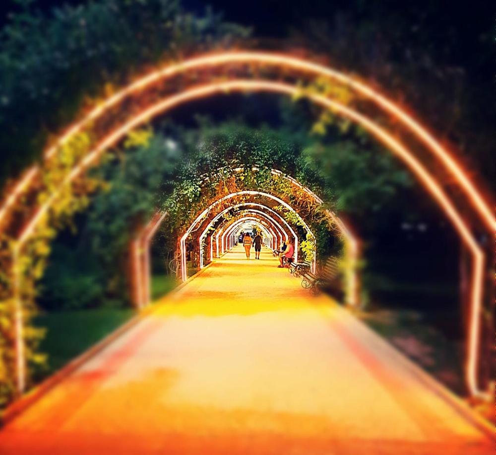 Photograph by Елена Ласун