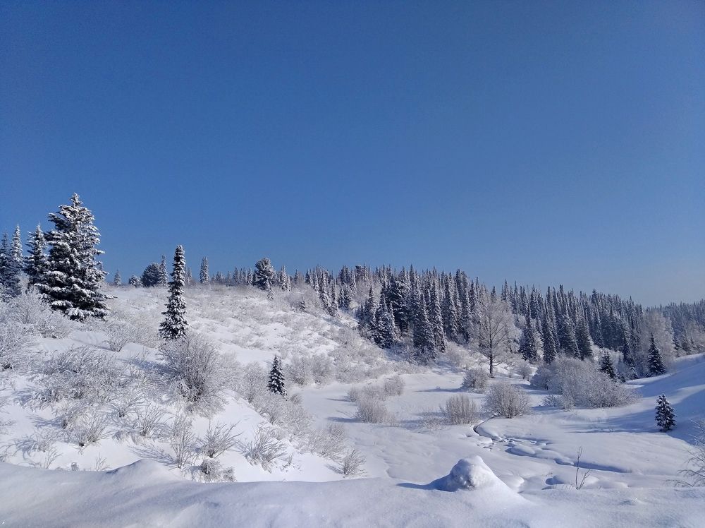 Photograph by Анатолий Майдуров