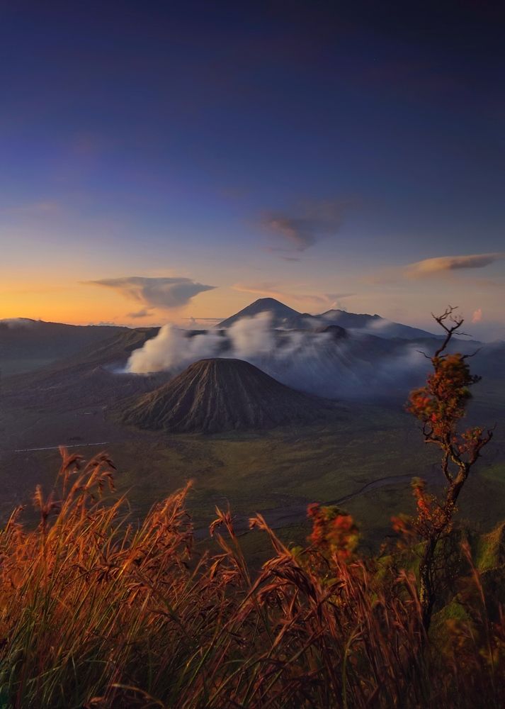 Фотография автора Henri Fitriadi