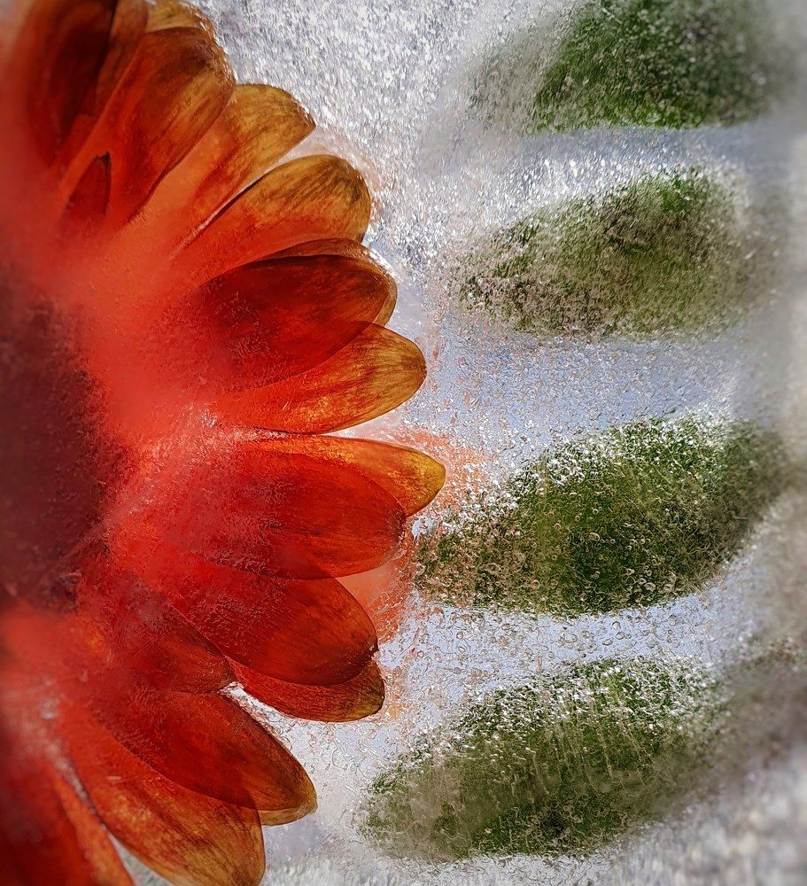 Photograph by Татьяна Мельникова