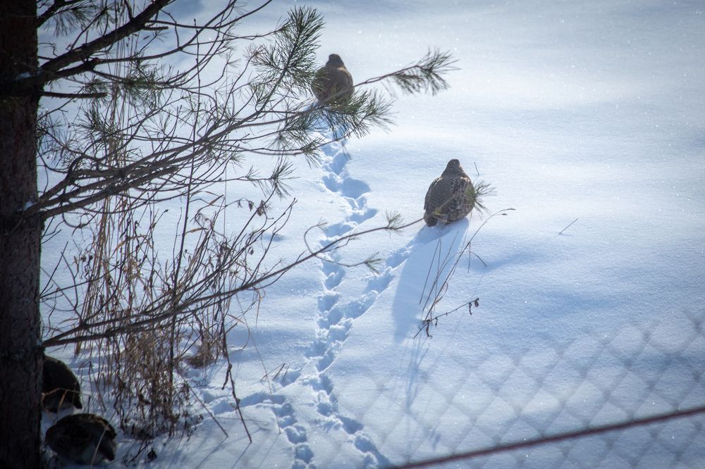 Photograph by Дарья Акулина