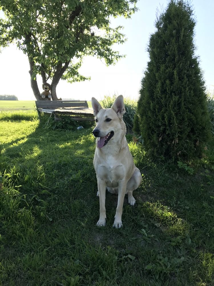 Photograph by Роман Короткевич