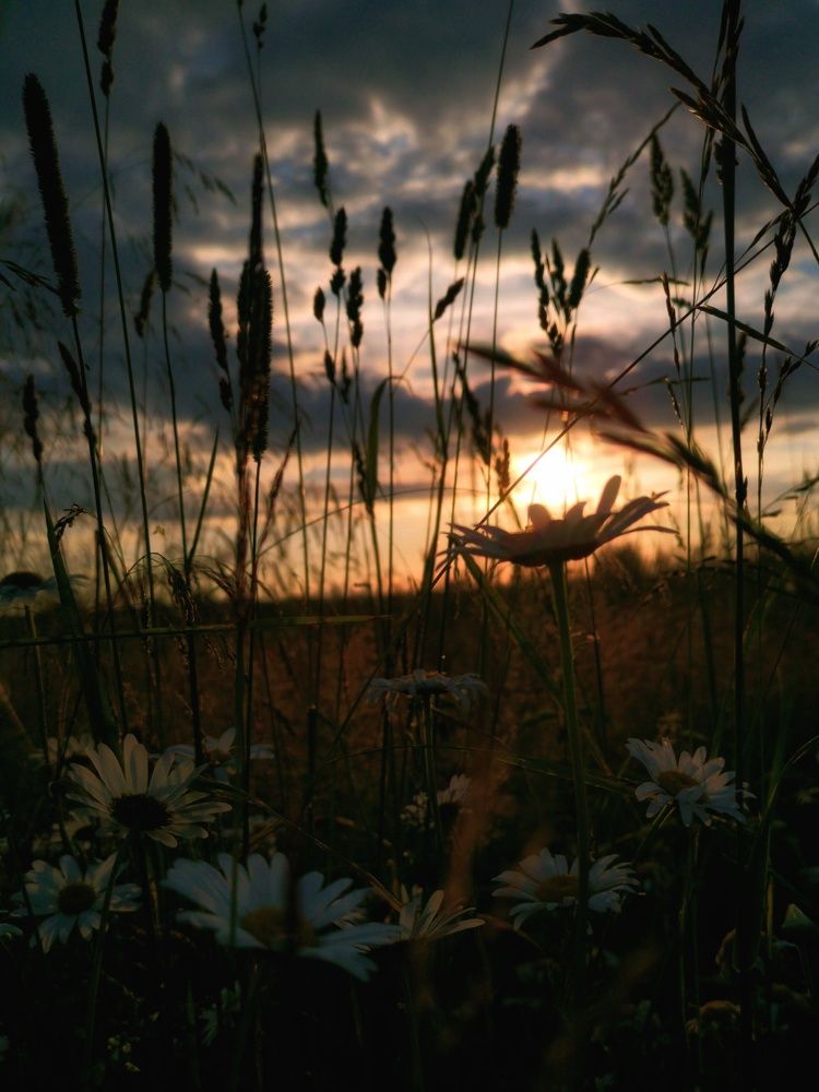 Photograph by Света Богоявленская