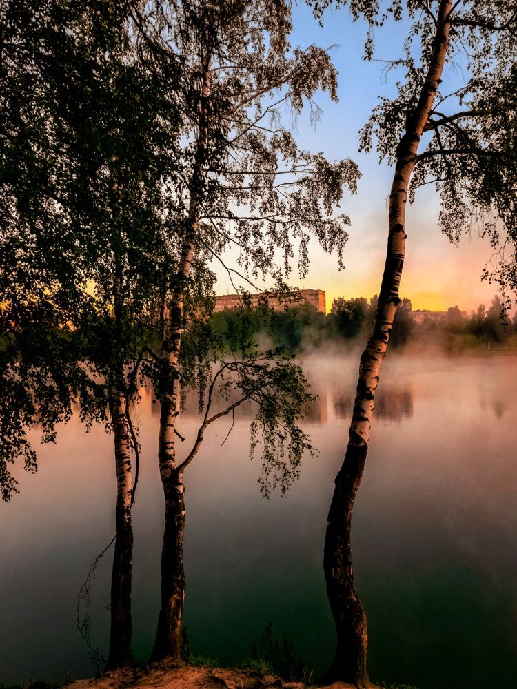 Photograph by Света Богоявленская