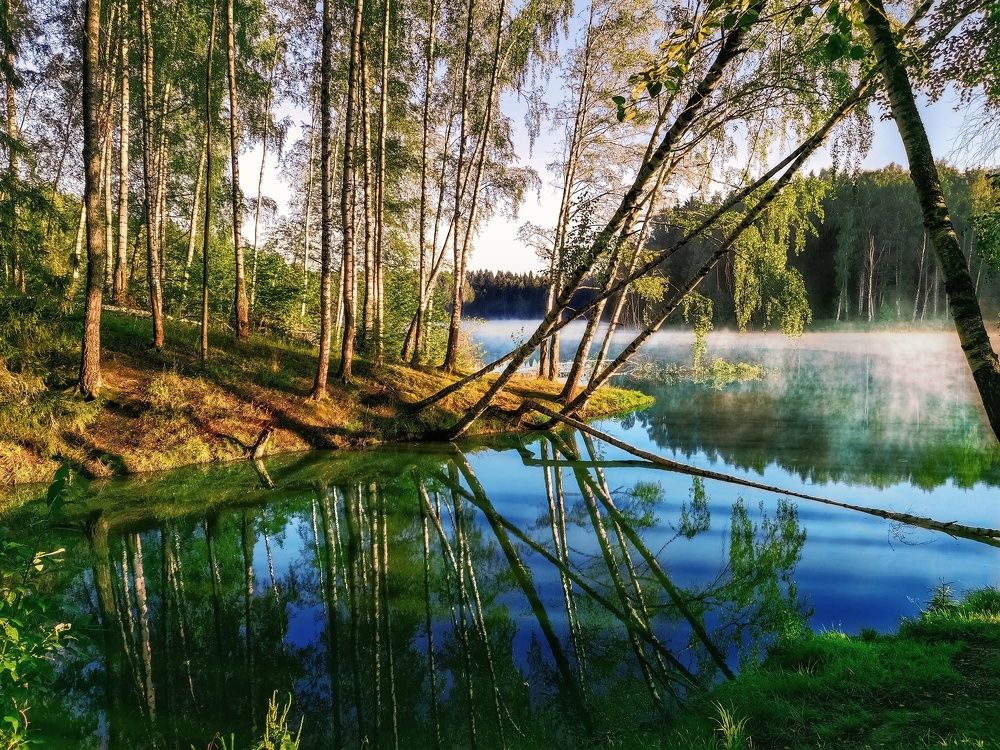 Photograph by Света Богоявленская