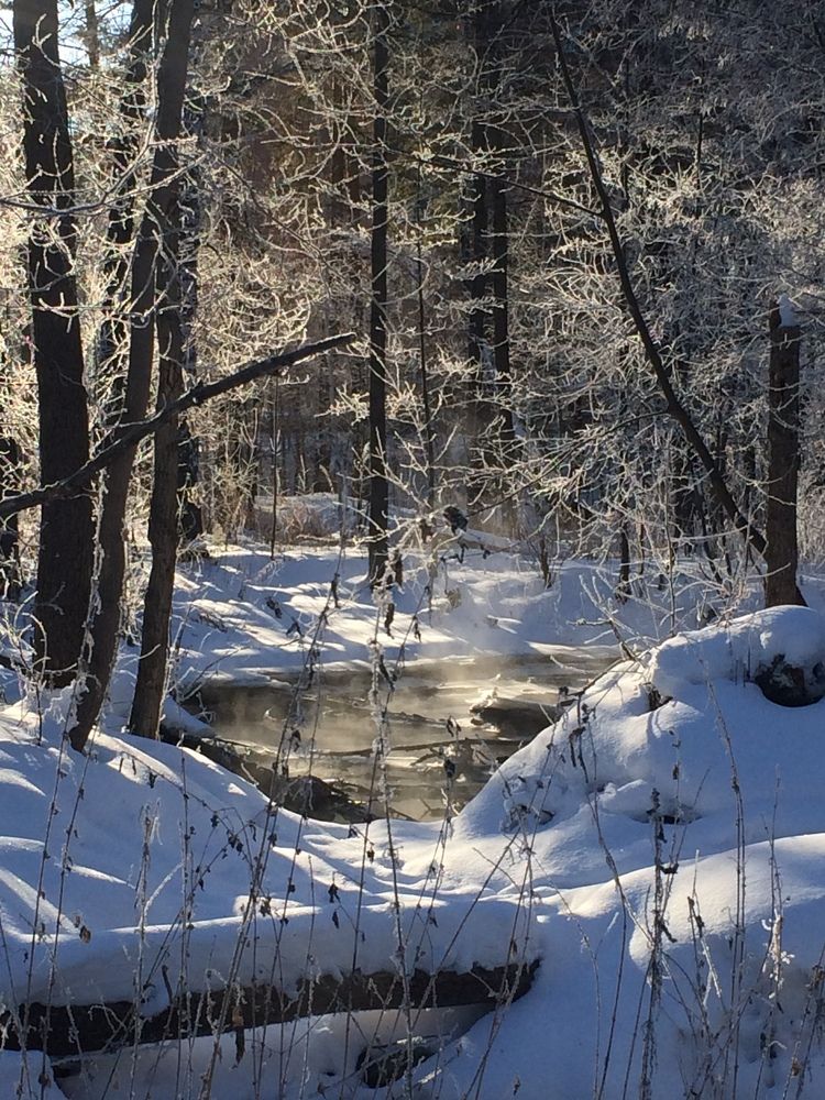 Photograph by Ирина Александрович