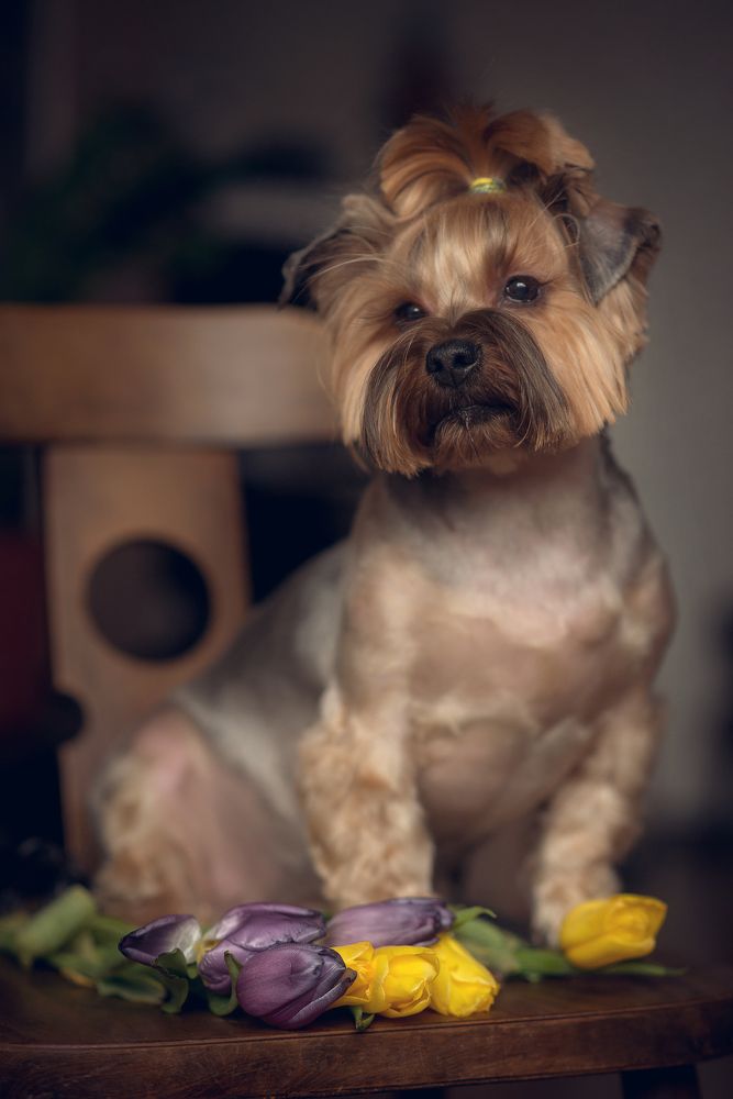 Photograph by Екатерина Васильева