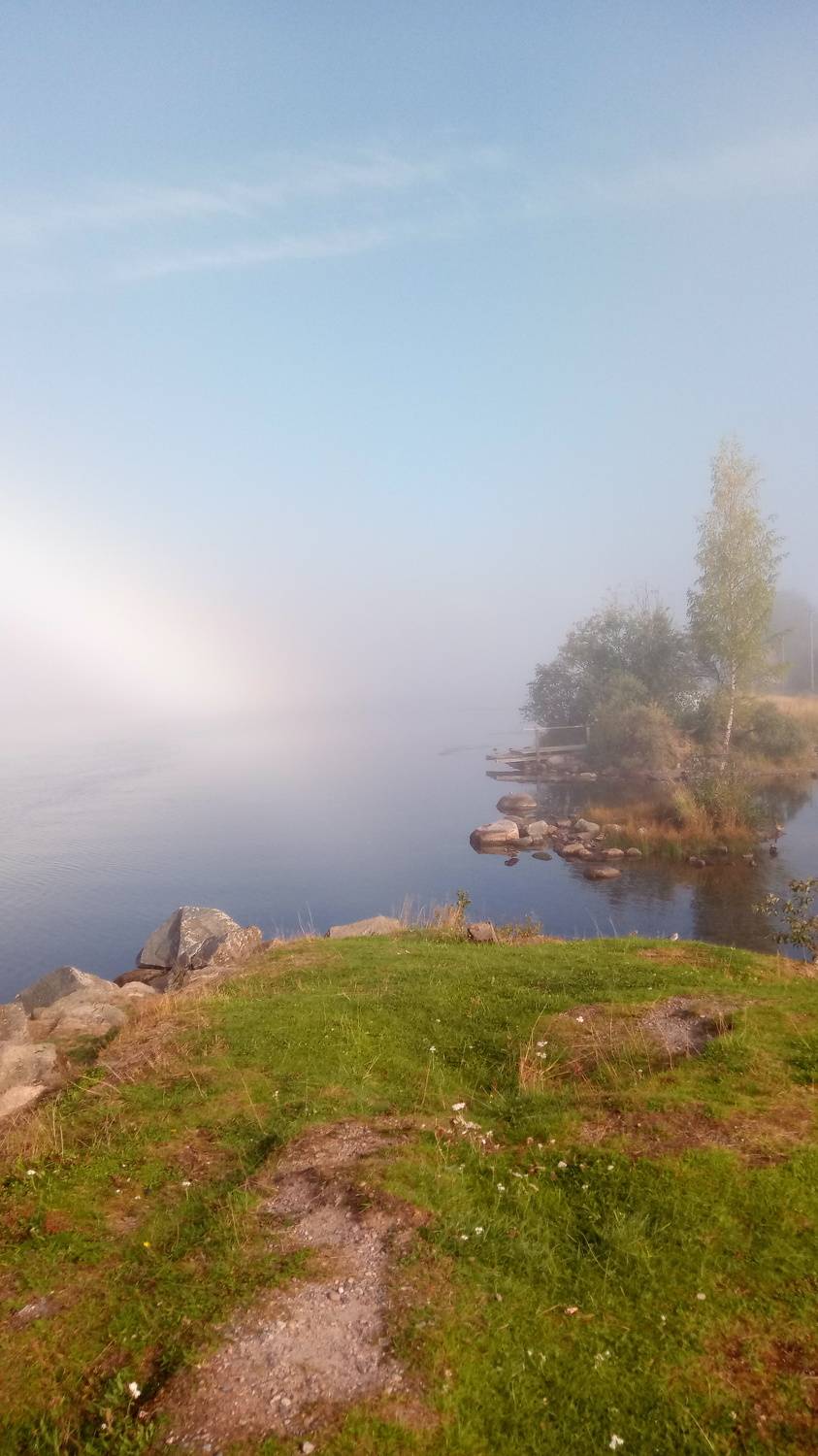 Photo #7493003