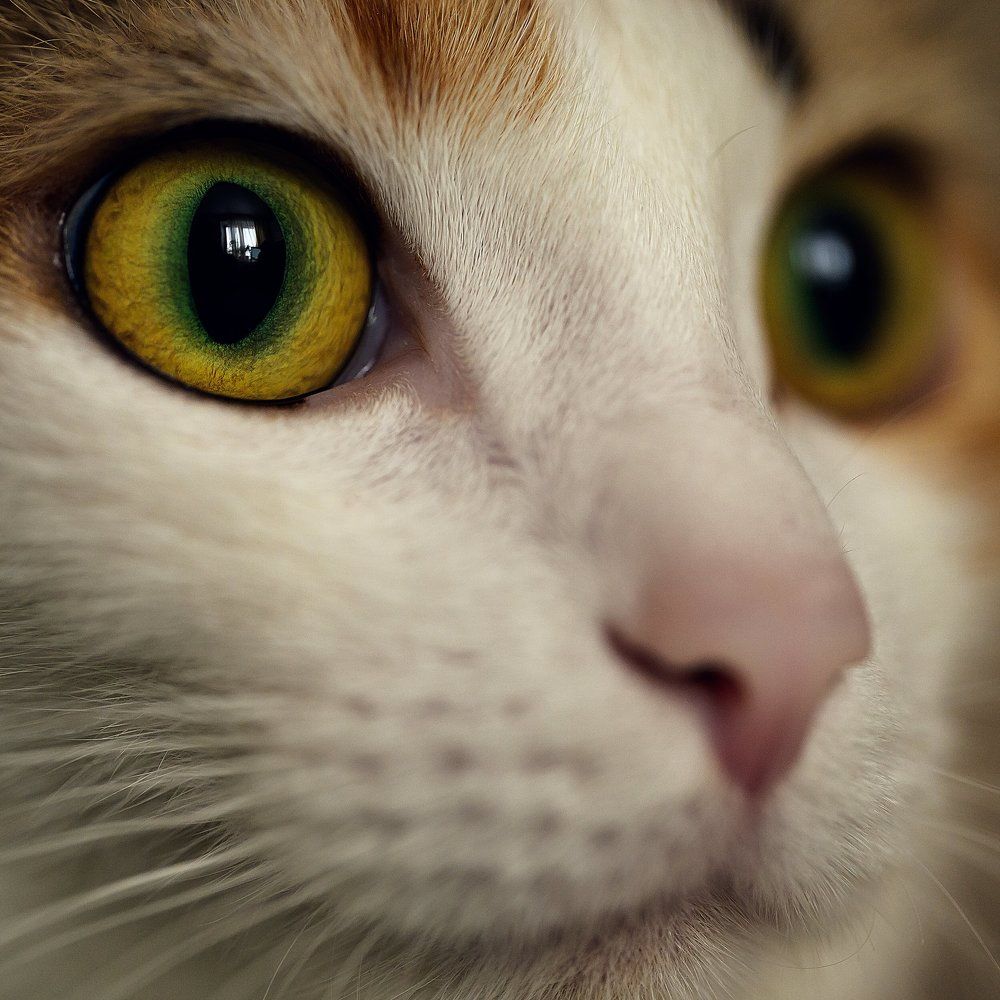 Photograph by Светлана Русанова