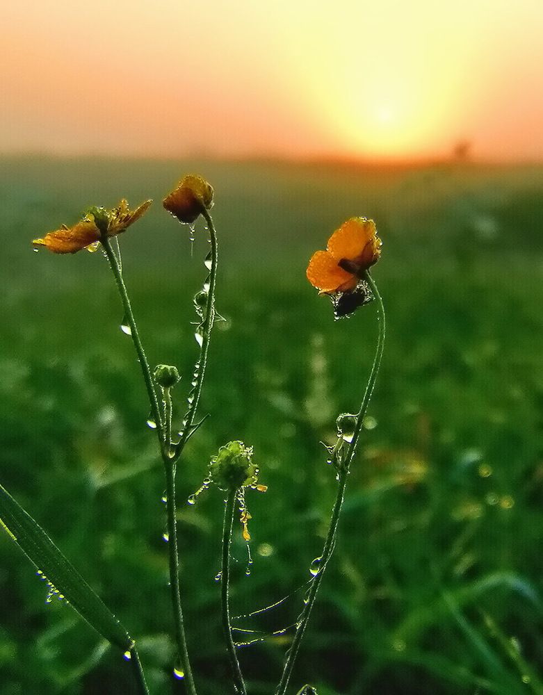 Photograph by Хортов Юрий Анатольевич