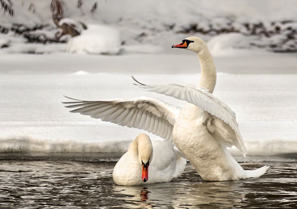 Photograph by Сергей Степанов