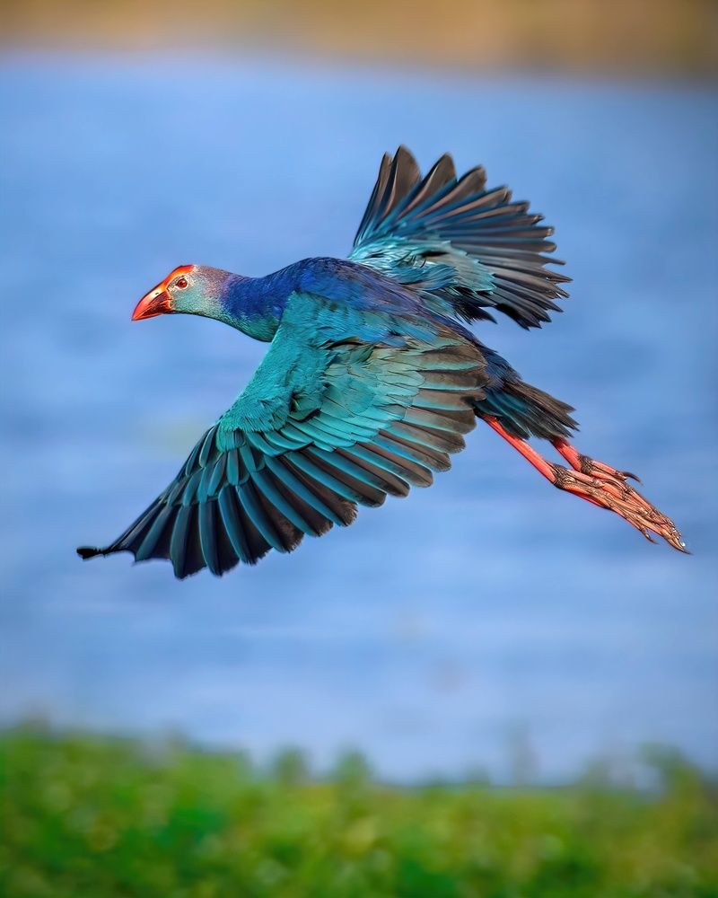 Photograph by Madhurya Mozumder