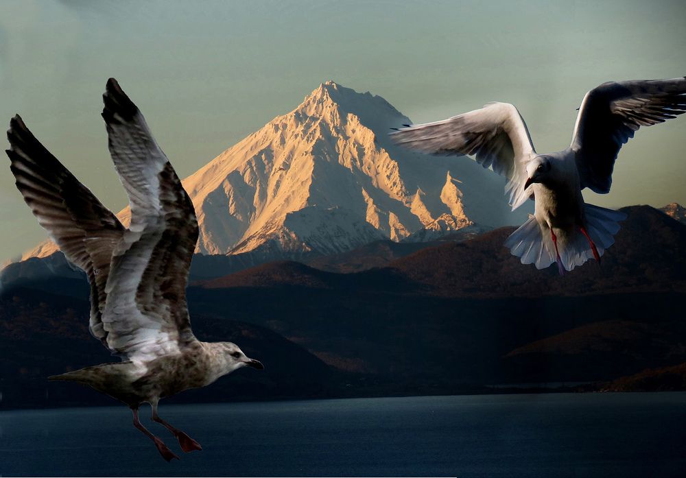 На фоне вулкана