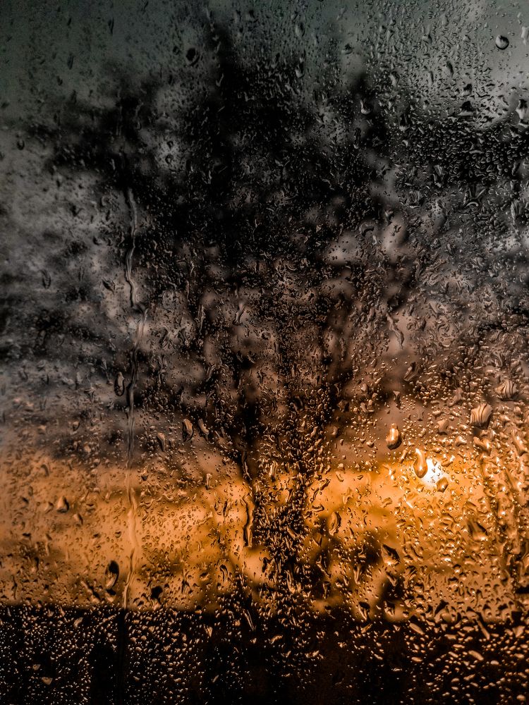 The rain