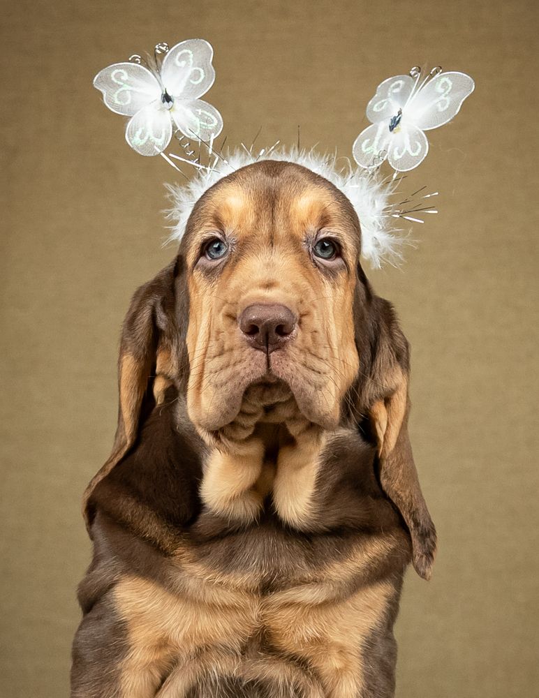 Photograph by Evgeniya Glinskaya