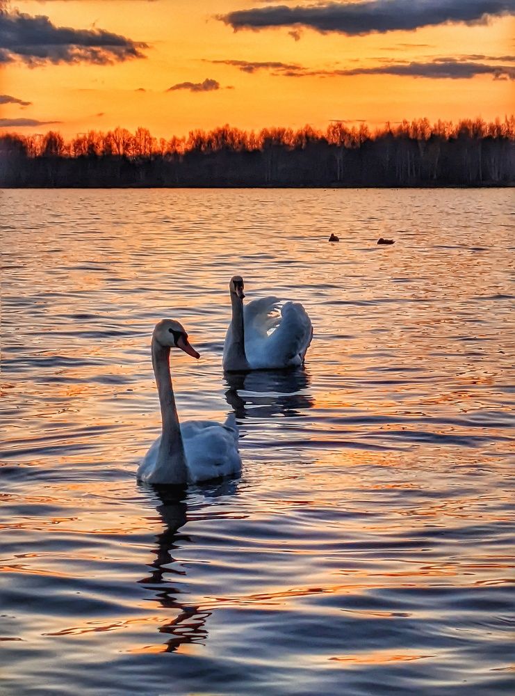 Photograph by Владимир Шаруба
