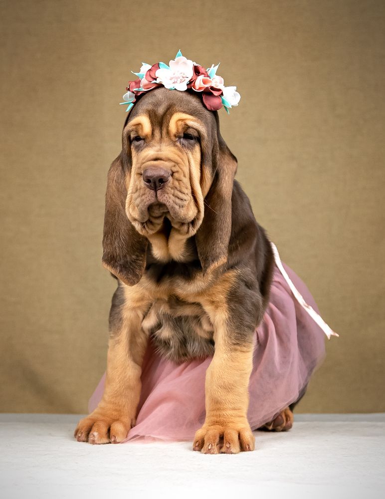 Photograph by Evgeniya Glinskaya