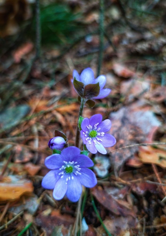 Photograph by Владимир Шаруба