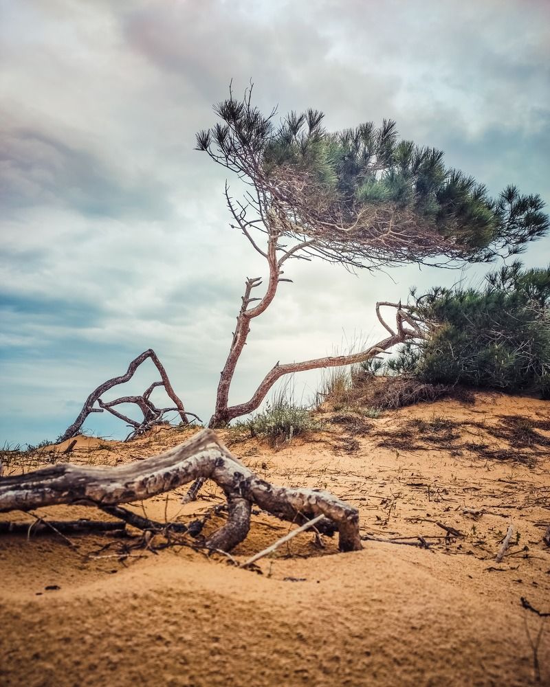 Photograph by Iryna Rybka