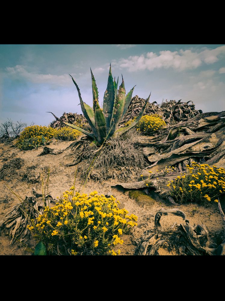 Photograph by Iryna Rybka