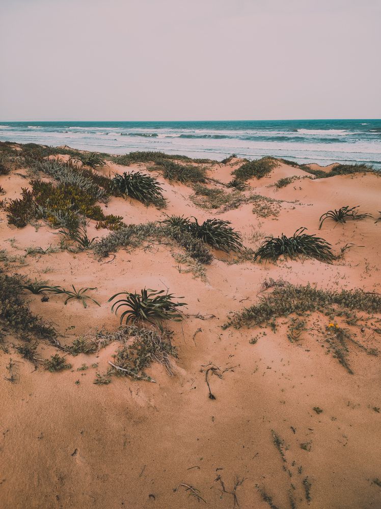 Photograph by Iryna Rybka