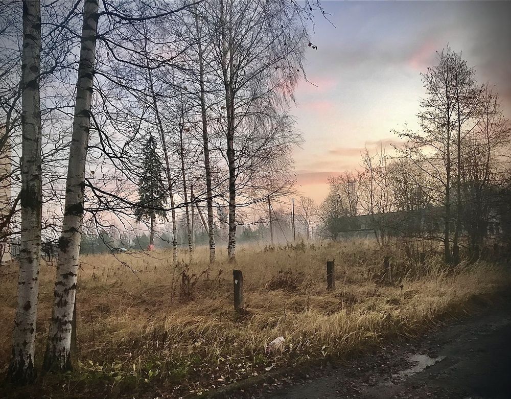 Photograph by Ольга Сафронова