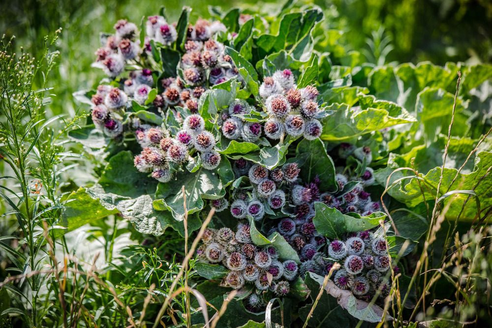 Photograph by Ольга Сафронова