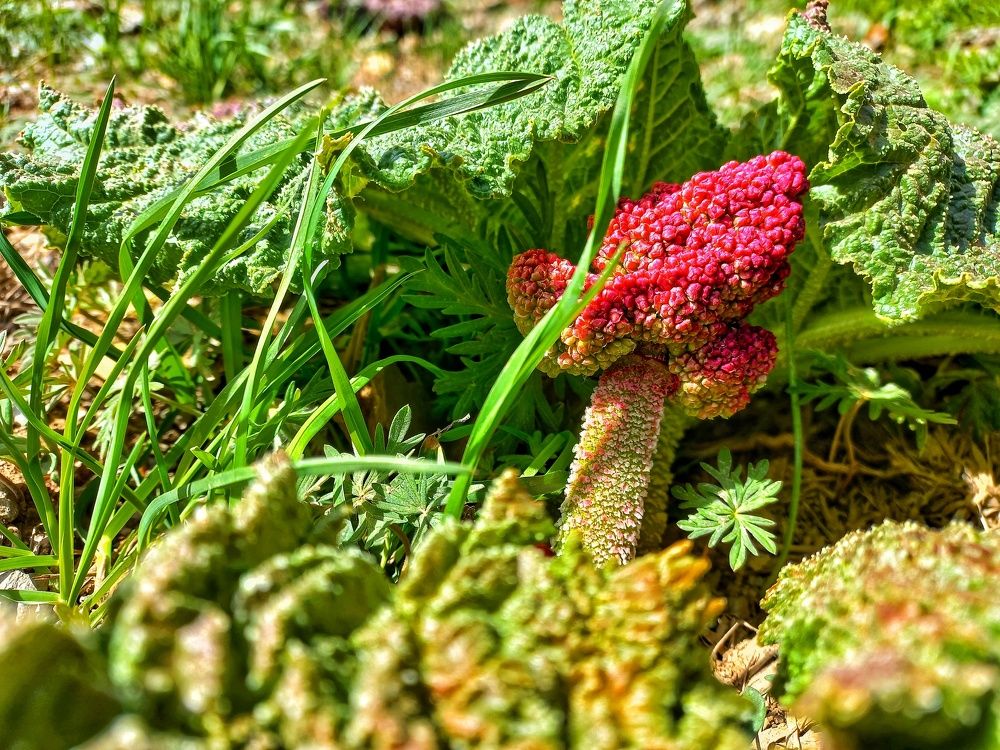 Photograph by Baha Ghaderi