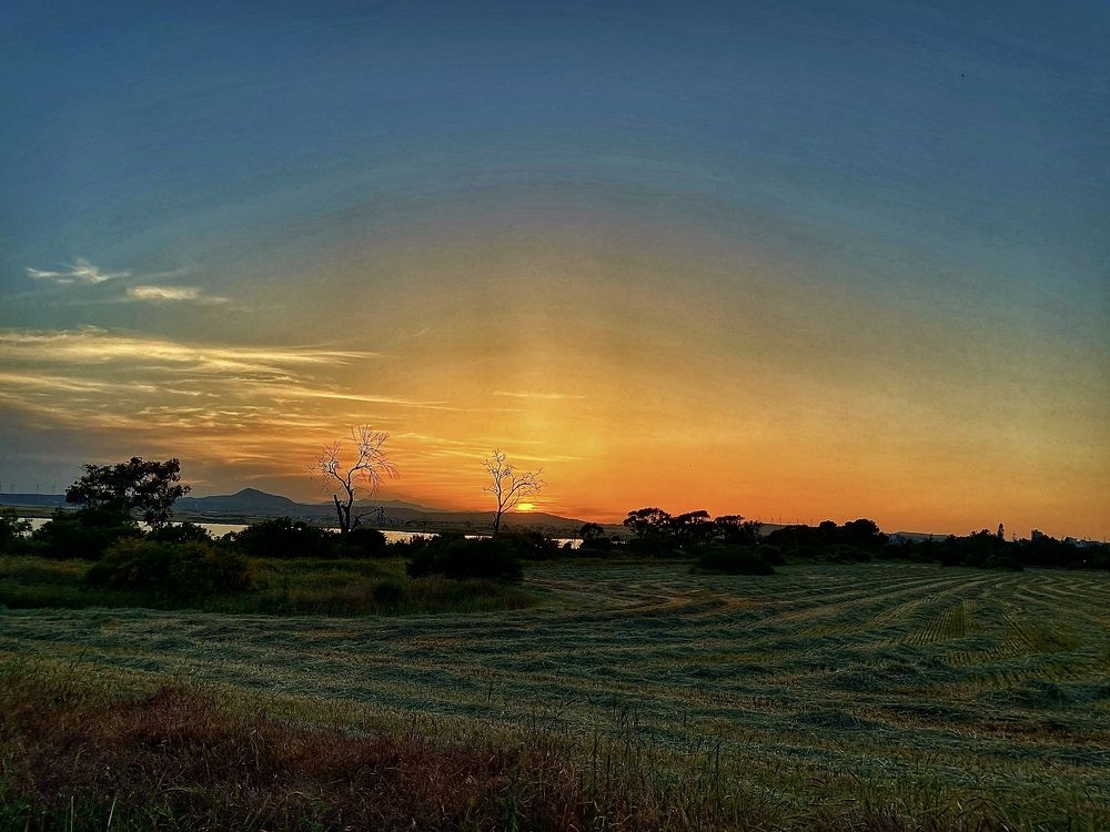 Photograph by Iulian Moldovan