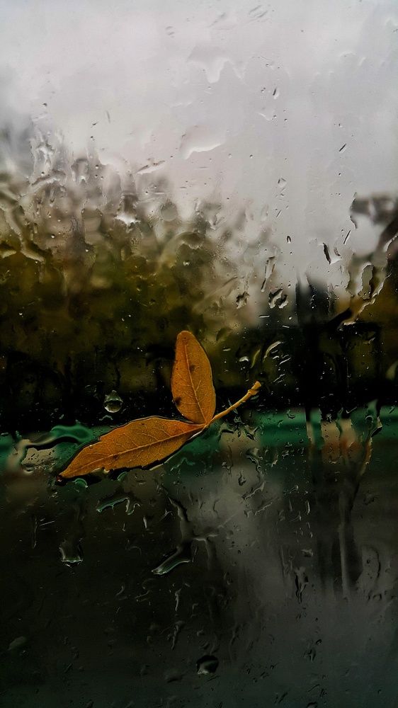 Photograph by Baha Ghaderi