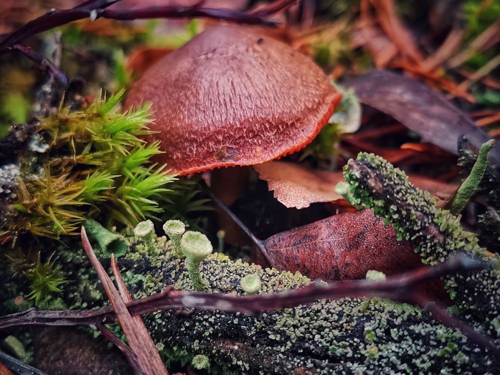 Photograph by Екатерина Ремез