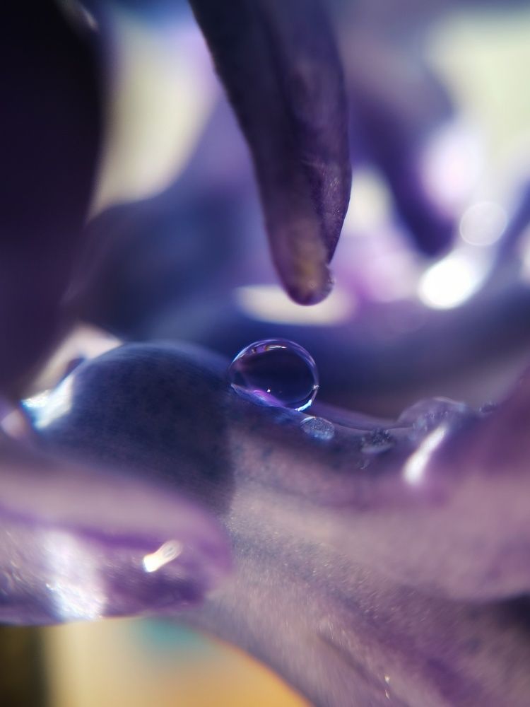 Photograph by Екатерина Ремез