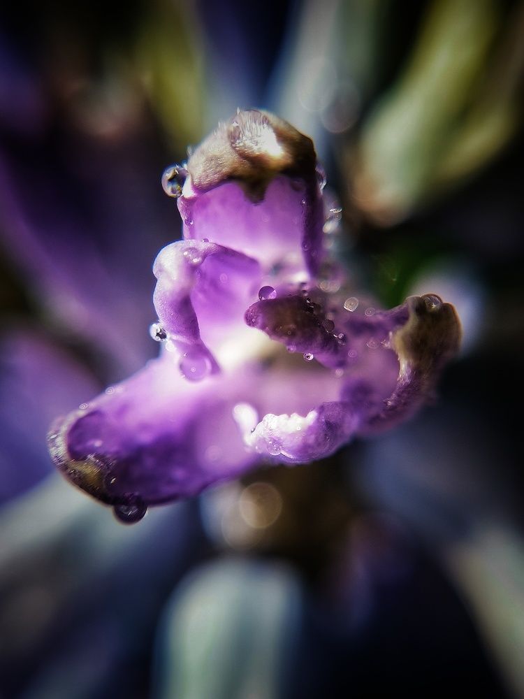 Photograph by Екатерина Ремез