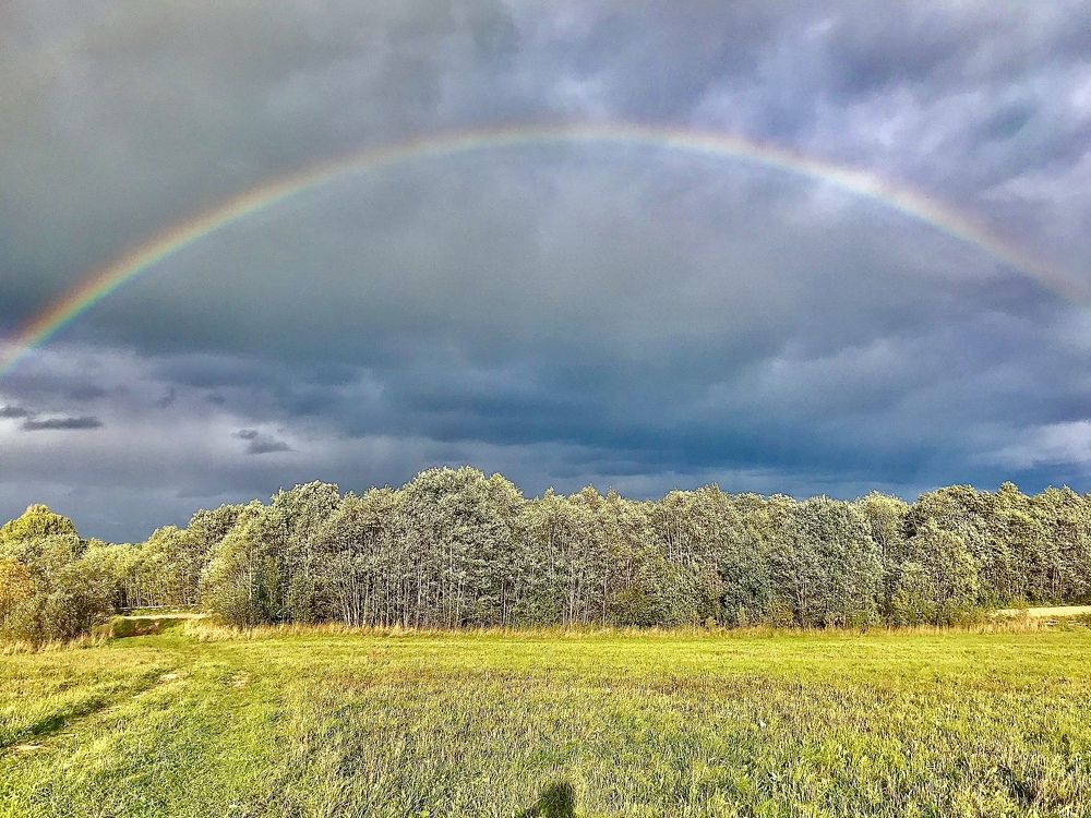 Photograph by Ольга Сафронова