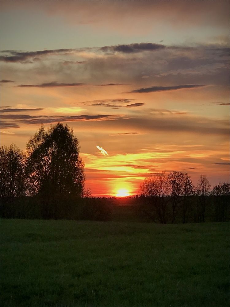 Photograph by Ольга Сафронова