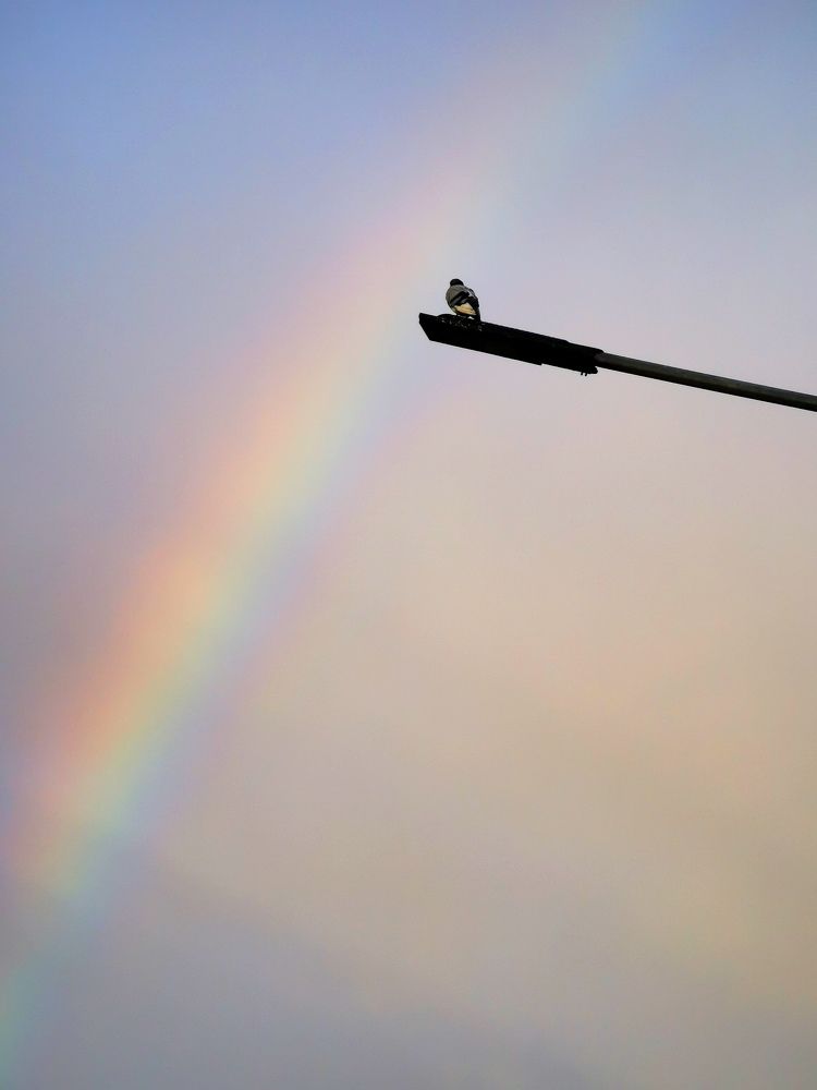 Photograph by Иван Шатный