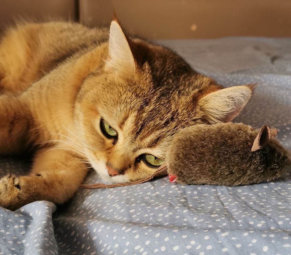 Photograph by Мария Маханько