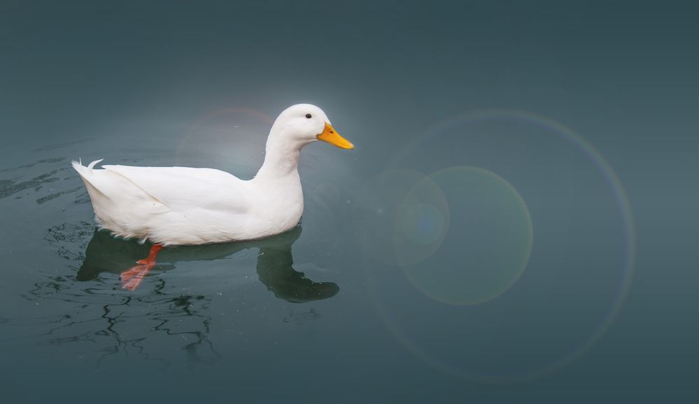 Photograph by Tatevik Tananyan